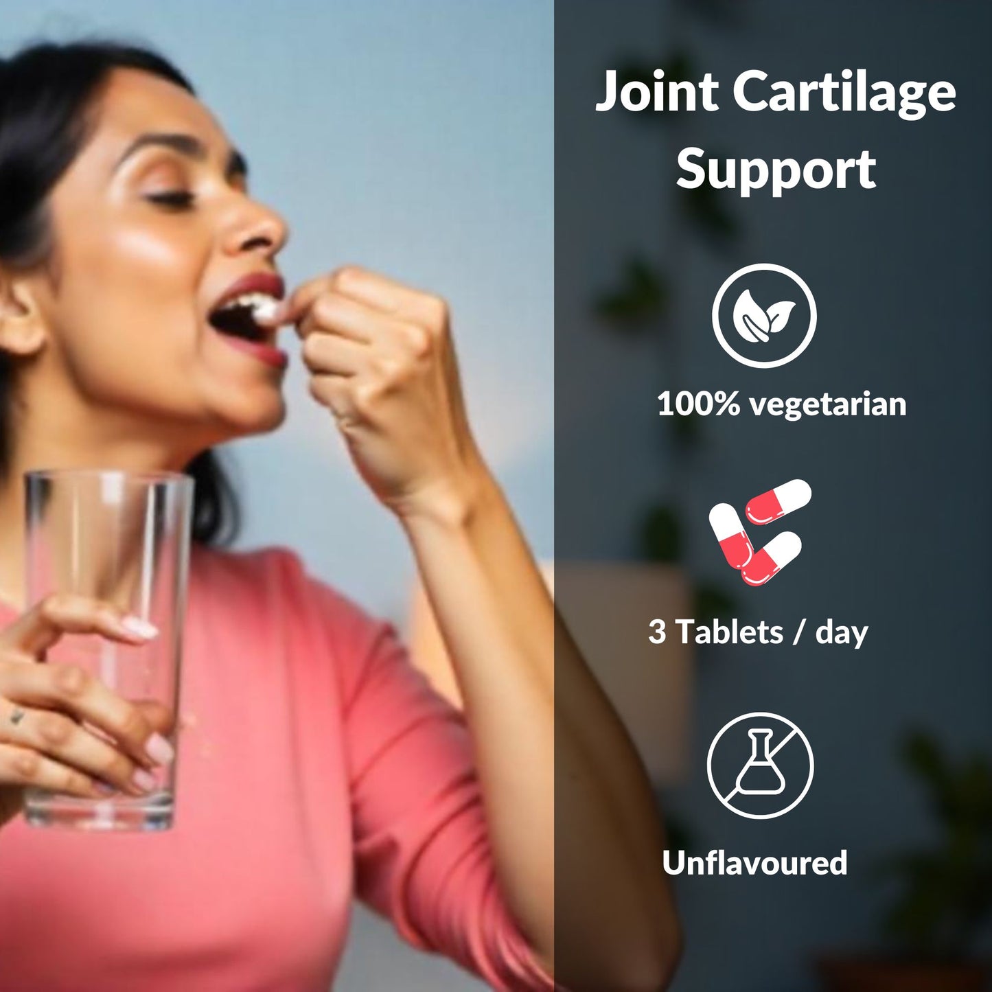 Joint Pain & Cartilage Support Tablet