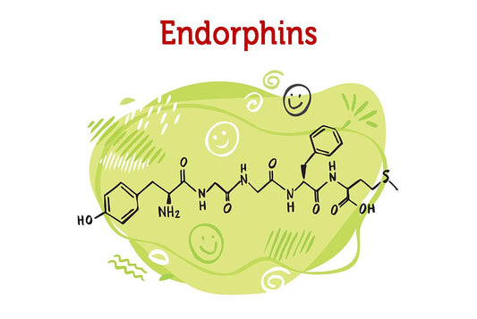 5 Tips for Boosting Endorphins – The Brain's Natural Painkillers - Zanskar