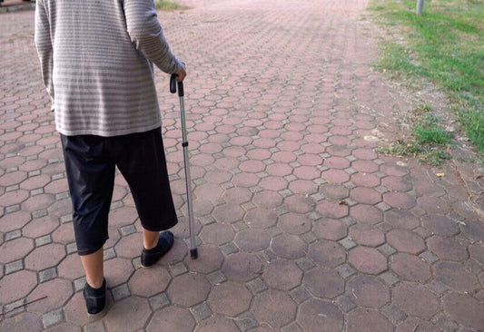 How To Correctly Hold And Use A Walking Stick - Zanskar