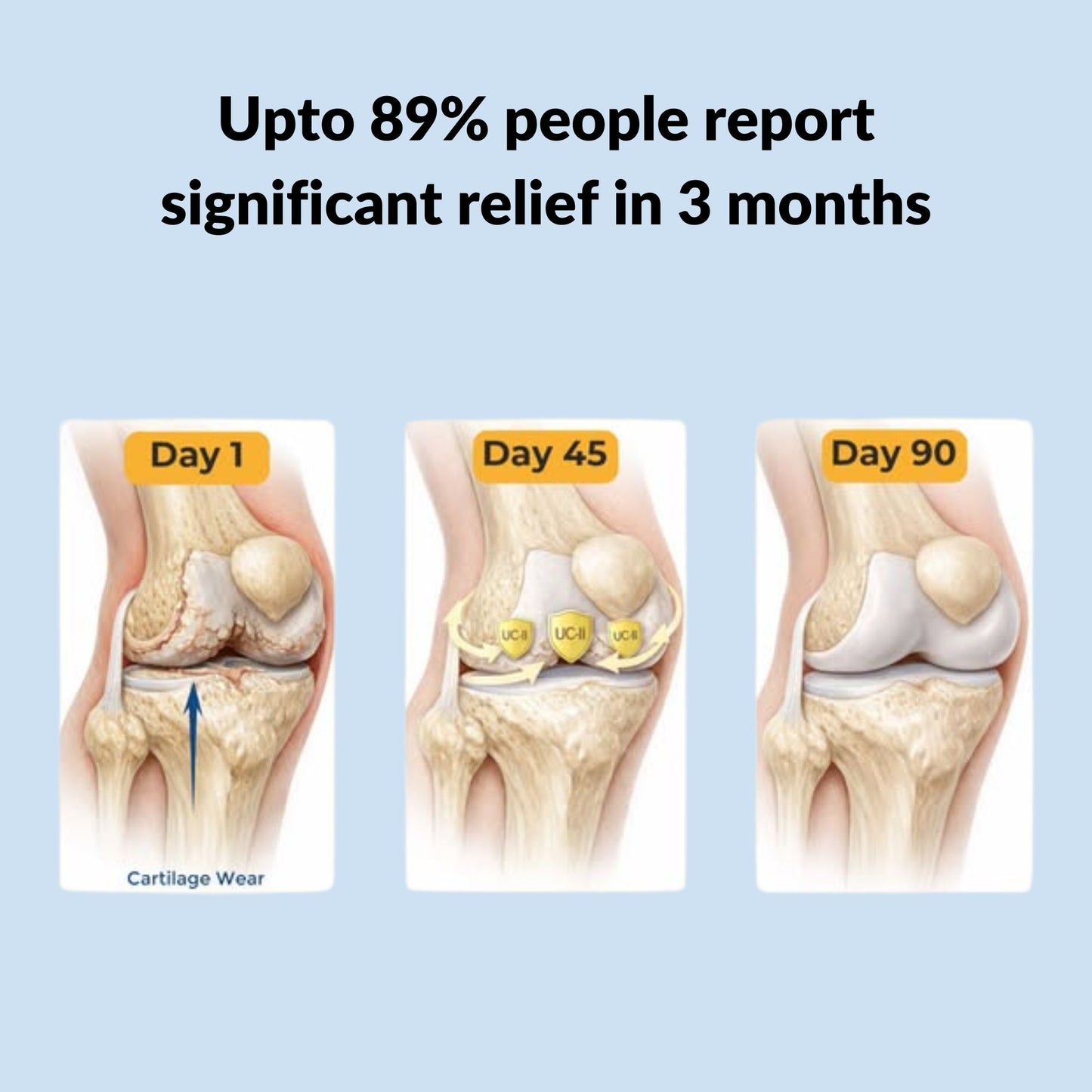 Cartilage & Joint Support Supplement
