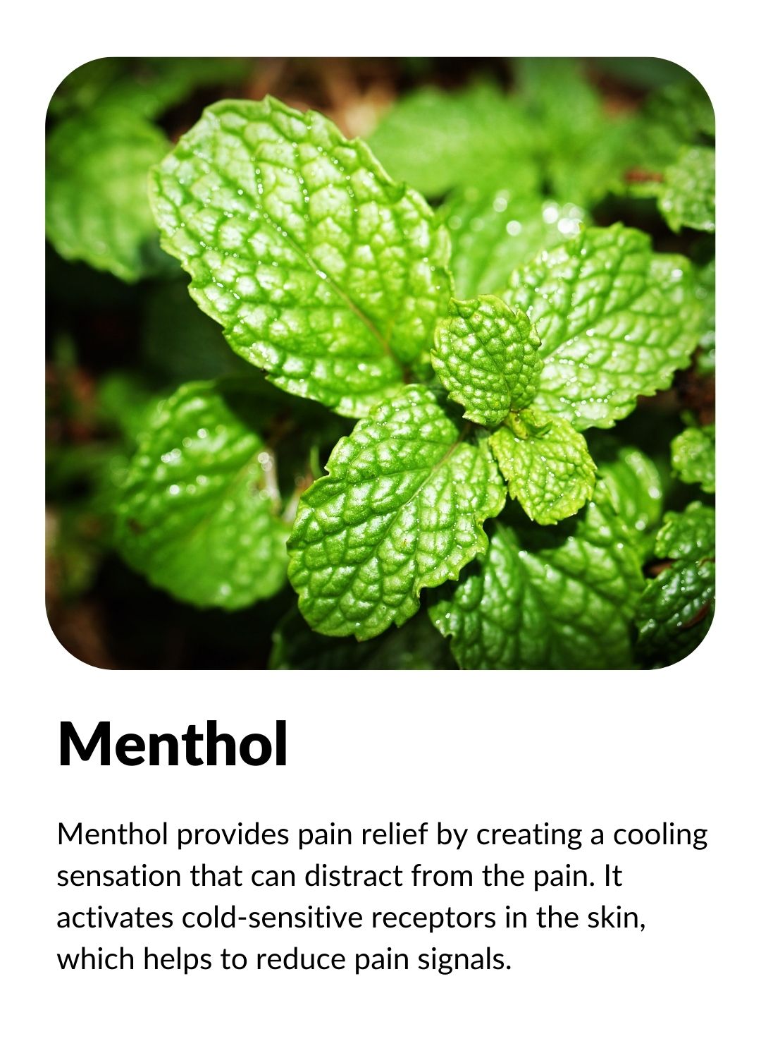 Menthol provides pain relief by creating a cooling sensation that can distract from the pain. It activates cold-sensitive receptors in the skin, which helps to reduce pain signals.