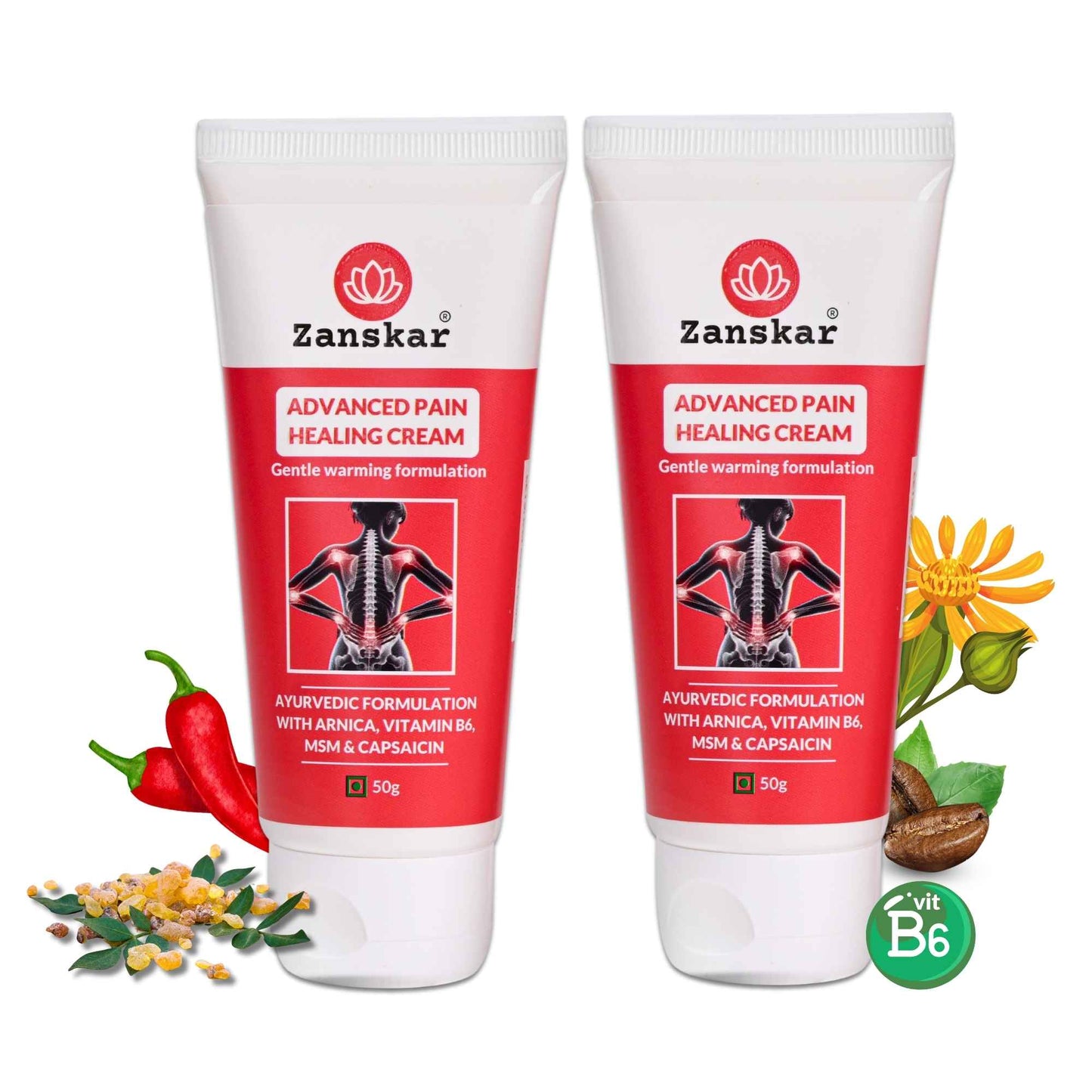 Advanced Pain Healing Cream (50g) - Zanskar - Pack of 2