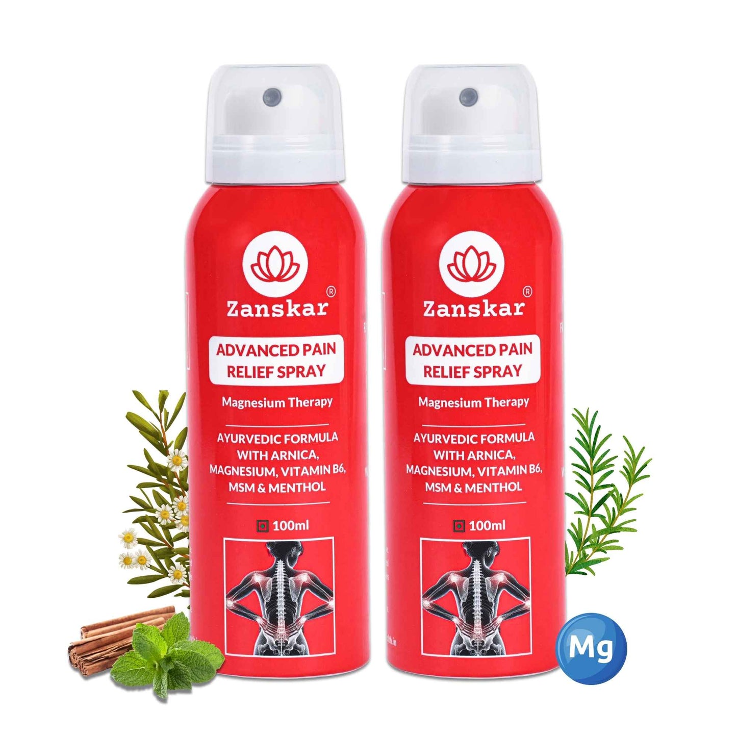 Advanced Pain Relief Spray (100ml) - Zanskar - Pack of 2