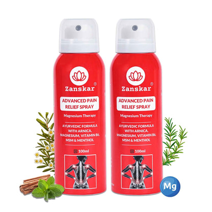 Advanced Pain Relief Spray (100ml) - Zanskar - Pack of 2