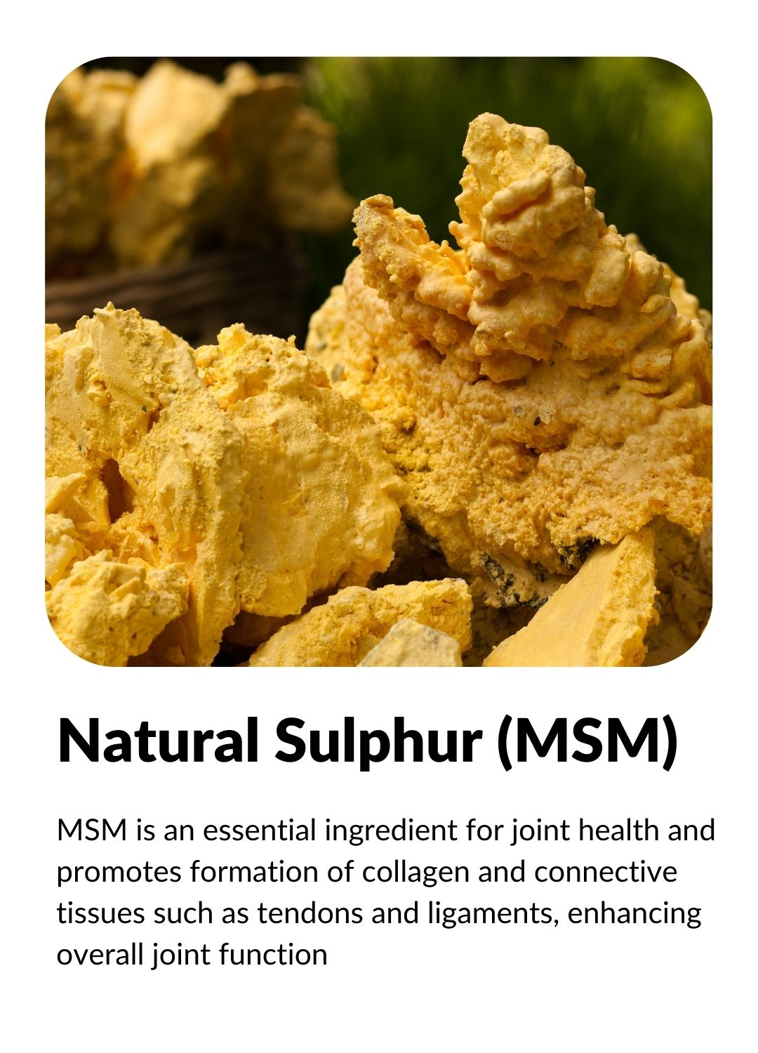 MSM: Natural form of sulphur (found in fresh produce) that supports joint health by building connective tissue.