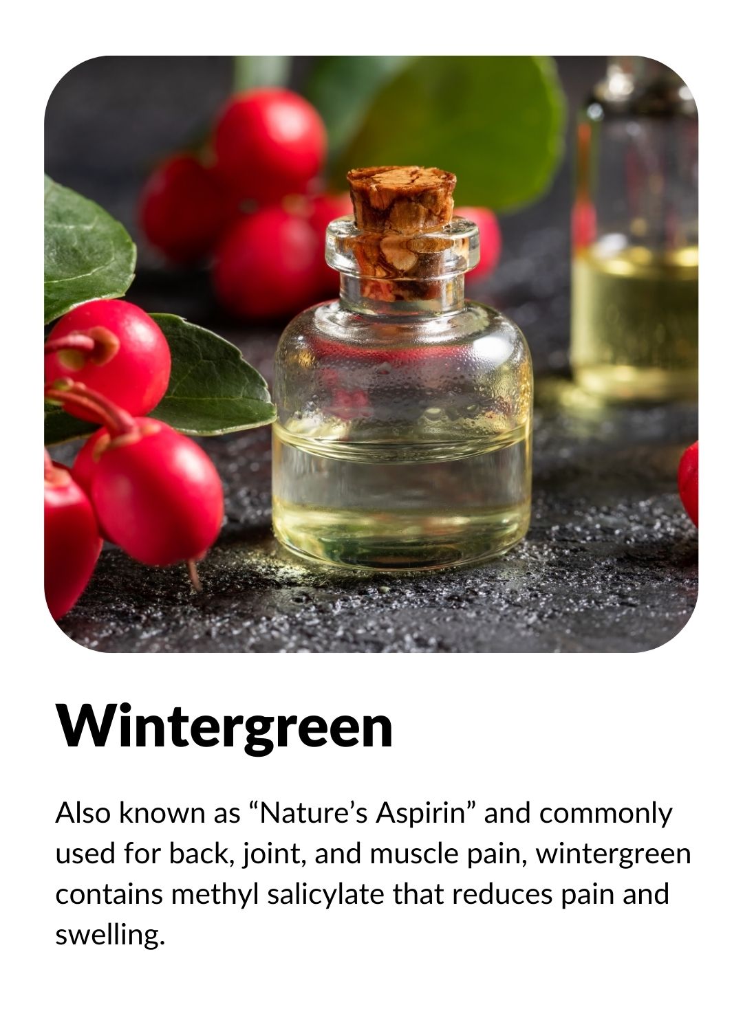 Also known as “Nature’s Aspirin” and commonly used for back, joint, and muscle pain, wintergreen contains methyl salicylate that reduces pain and swelling.